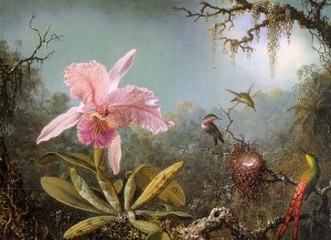 Cattelya Orchid and Three Brazilian Hummingbirds 1871 by Heade, Martin Johnson   